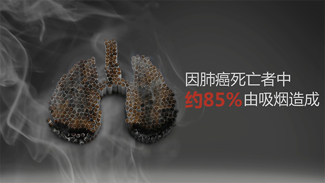 成都宣傳片制作：控?zé)熜麄髌曨l制作大綱